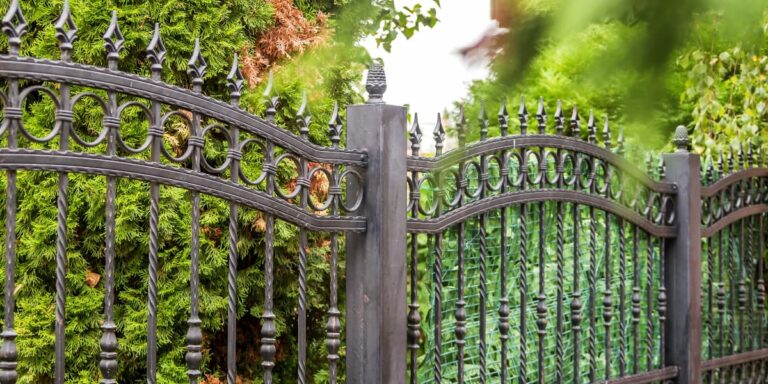 Read more about the article 4 ways to make your front garden more private
