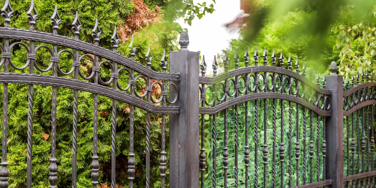 Read more about the article 4 ways to make your front garden more private